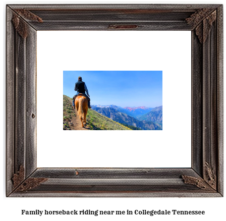 family horseback riding near me in Collegedale, Tennessee